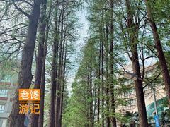 -武汉大学图书馆·文理学部总馆