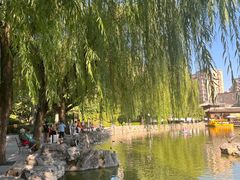 -团结湖公园