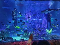 -沈阳海洋探索中心