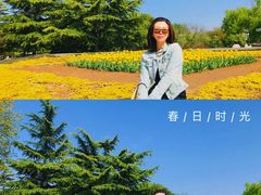 -石家庄市植物园