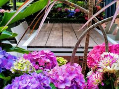 -芙蓉堂(武汉天地店)