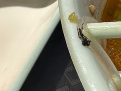 -回味鸭血粉丝汤(新城市广场店)