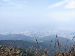 -梧桐山风景名胜区