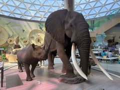 -陕西自然博物馆