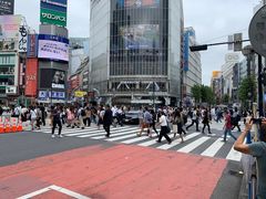 -涩谷全向十字路口