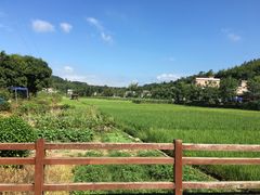 -红山村