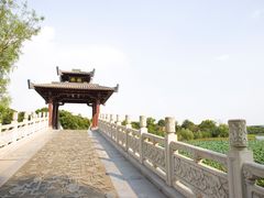 -东湖落雁景区