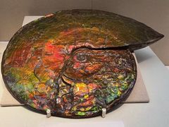 -国家自然博物馆