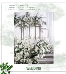 -HELLO你好婚礼婚庆策划
