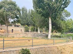 -石家庄市动物园