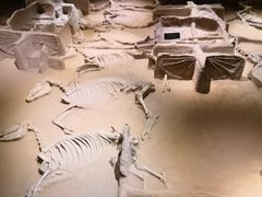 景点-洛阳周王城天子驾六博物馆