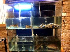 水产区-贵木日本料理·铁板烧(新地假日广场店)