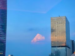 -广州富力君悦大酒店空中花园