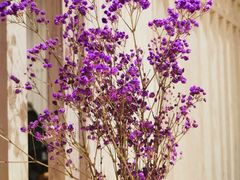 环境-小大董·烤鸭(凤凰汇店)