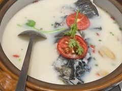 -全乐鱼馆·淳牌有机鱼直营店