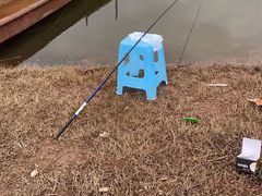 -洪湖生态旅游区