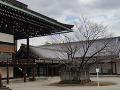 -京都御所