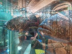-金翠皇宫粤菜·点心·海鲜(科技园店)