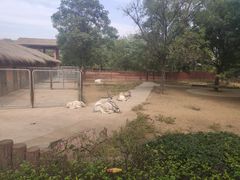 -石家庄市动物园