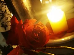 -好日子皇冠假日酒店·君怡咖啡厅(特美思大厦店)