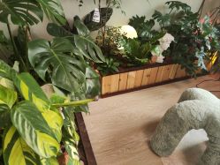 -Lumi露米·美甲美睫品质店