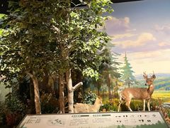 -陕西自然博物馆