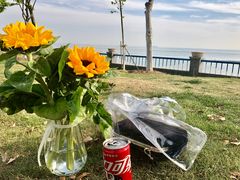 -合肥滨湖国家森林公园