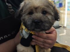 -它主义宠物(梁溪万达店)