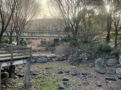 -宝界山林公园