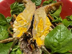 -红鼎豆捞·非遗鲍皇汤火锅(宝丰路店)