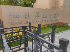 -羊山湖公园