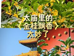 -北京市劳动人民文化宫(太庙)