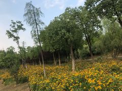 -四里河滨水生态公园