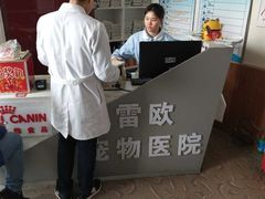 -瑞派雷欧宠物医院·24h夜诊·心脏骨科牙科·全科重症转诊中心(无影山店)
