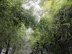 -陕拾叁(袁家村店)