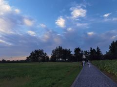 -汉长安城未央宫国家考古遗址公园