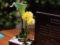 -IFIF 如果花園(宽厚里店)