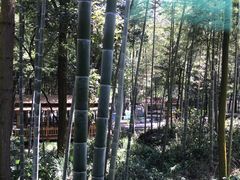 -石燕湖生态旅游景区