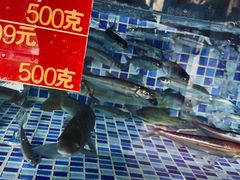 -欧记·龙城港(欣都店)