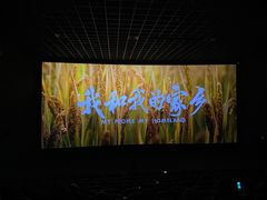 -太平洋影城(深圳8号仓店)