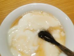 -古树酸奶(八廓南街店)