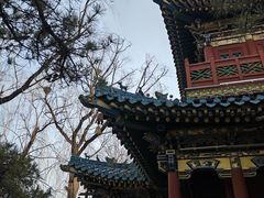 -迎泽公园