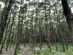 -同里国家湿地公园
