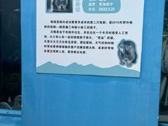 -青藏高原野生动物园