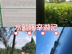 -陶辛水韵