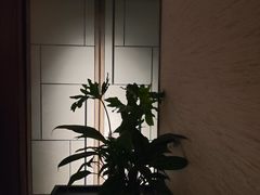 -虹之森·小馆