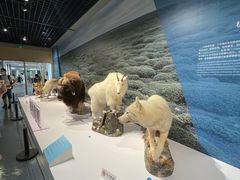-中国湿地博物馆