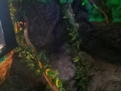 -暹罗海洋世界