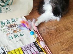 -成都世纪城新国际会展中心