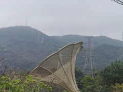 -白石龙音乐公园
